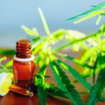 différence H4CBD et HHC