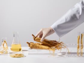 bienfaits ginseng