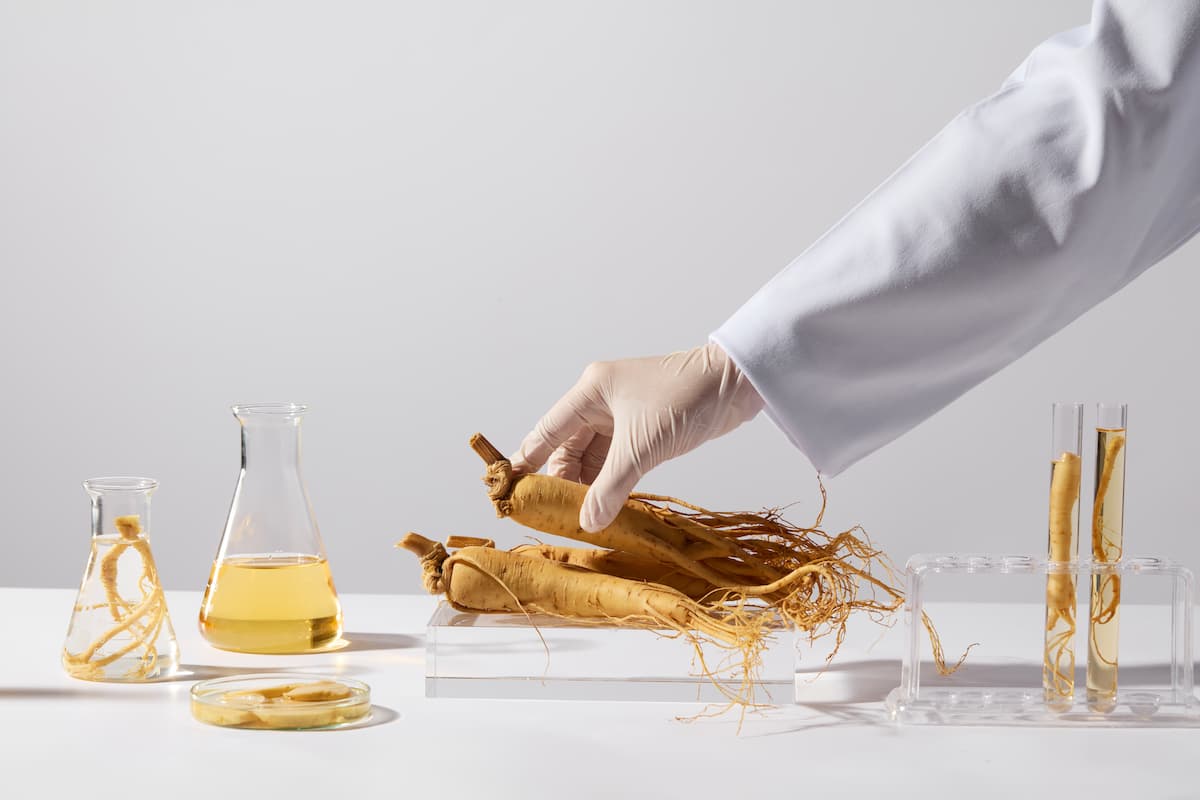 bienfaits ginseng