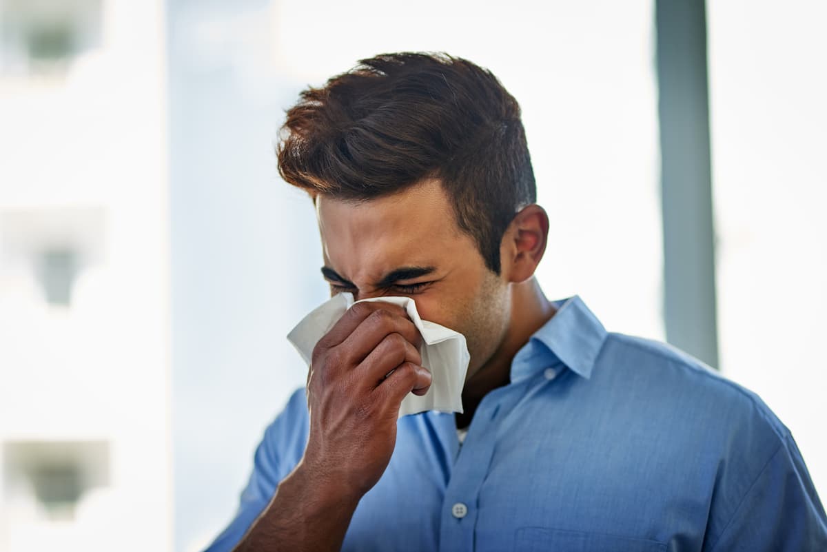 sinus